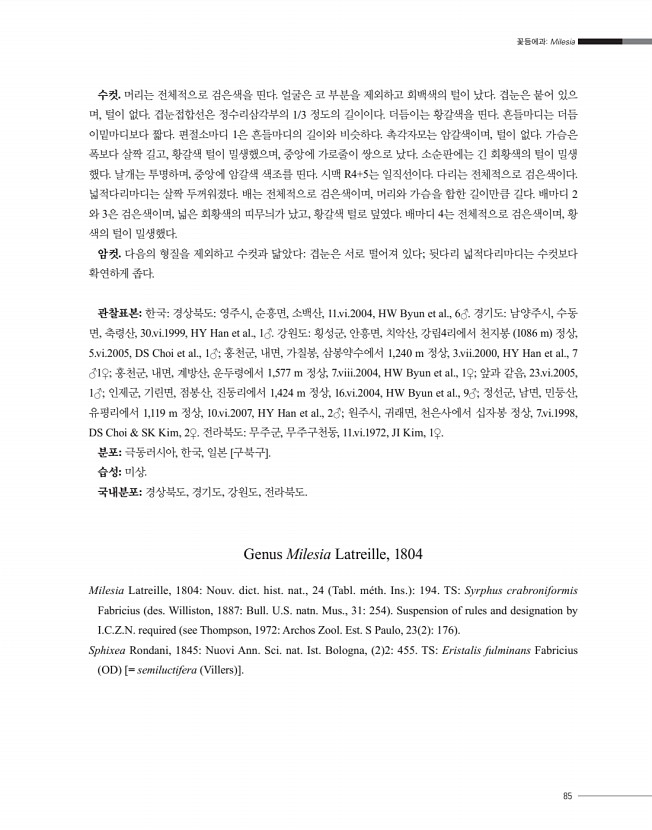 85페이지