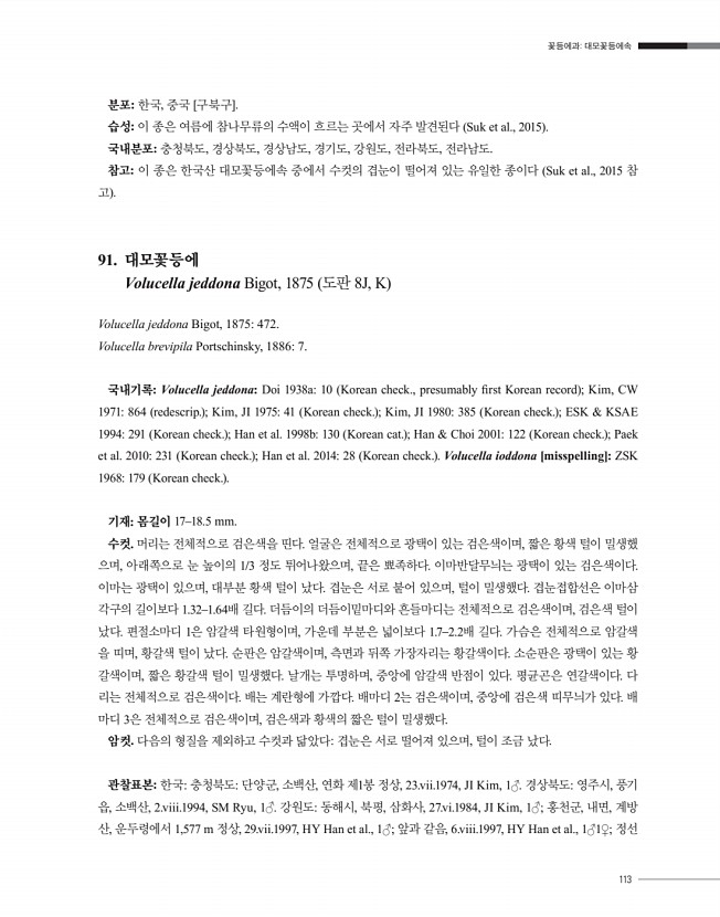 113페이지