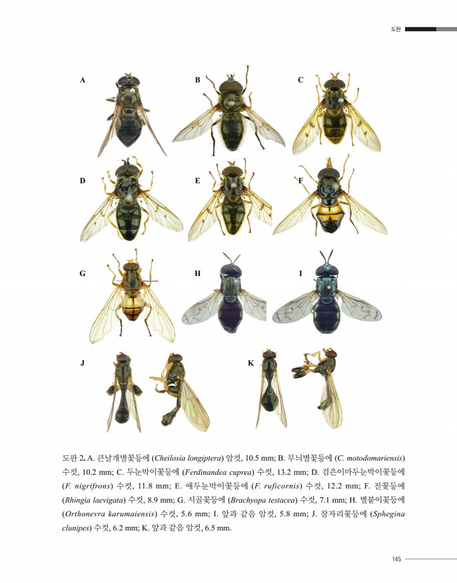 144페이지