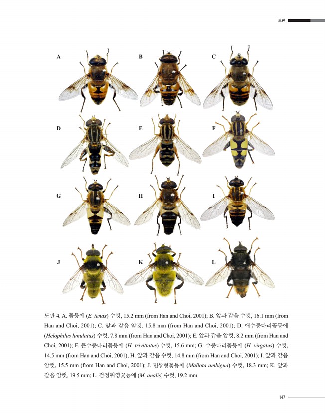 146페이지