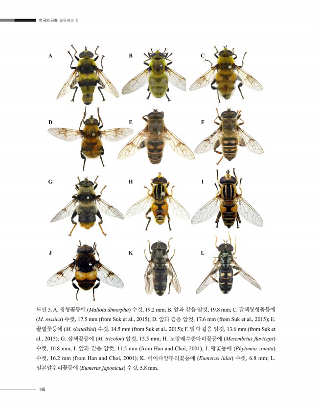 147페이지