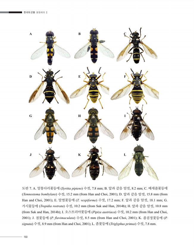 149페이지