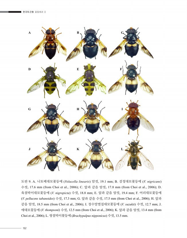 151페이지
