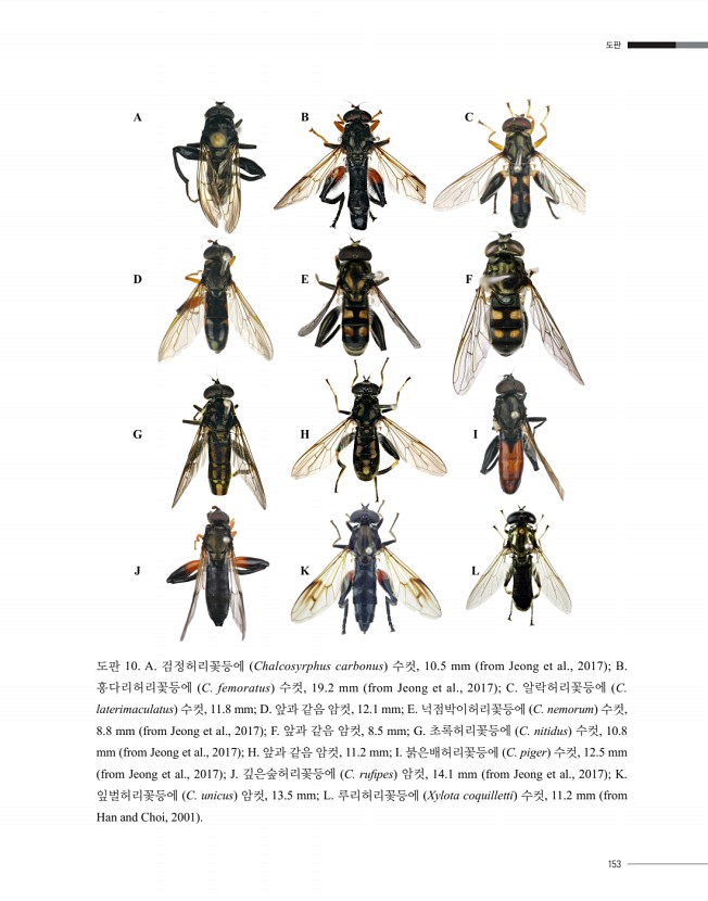 152페이지