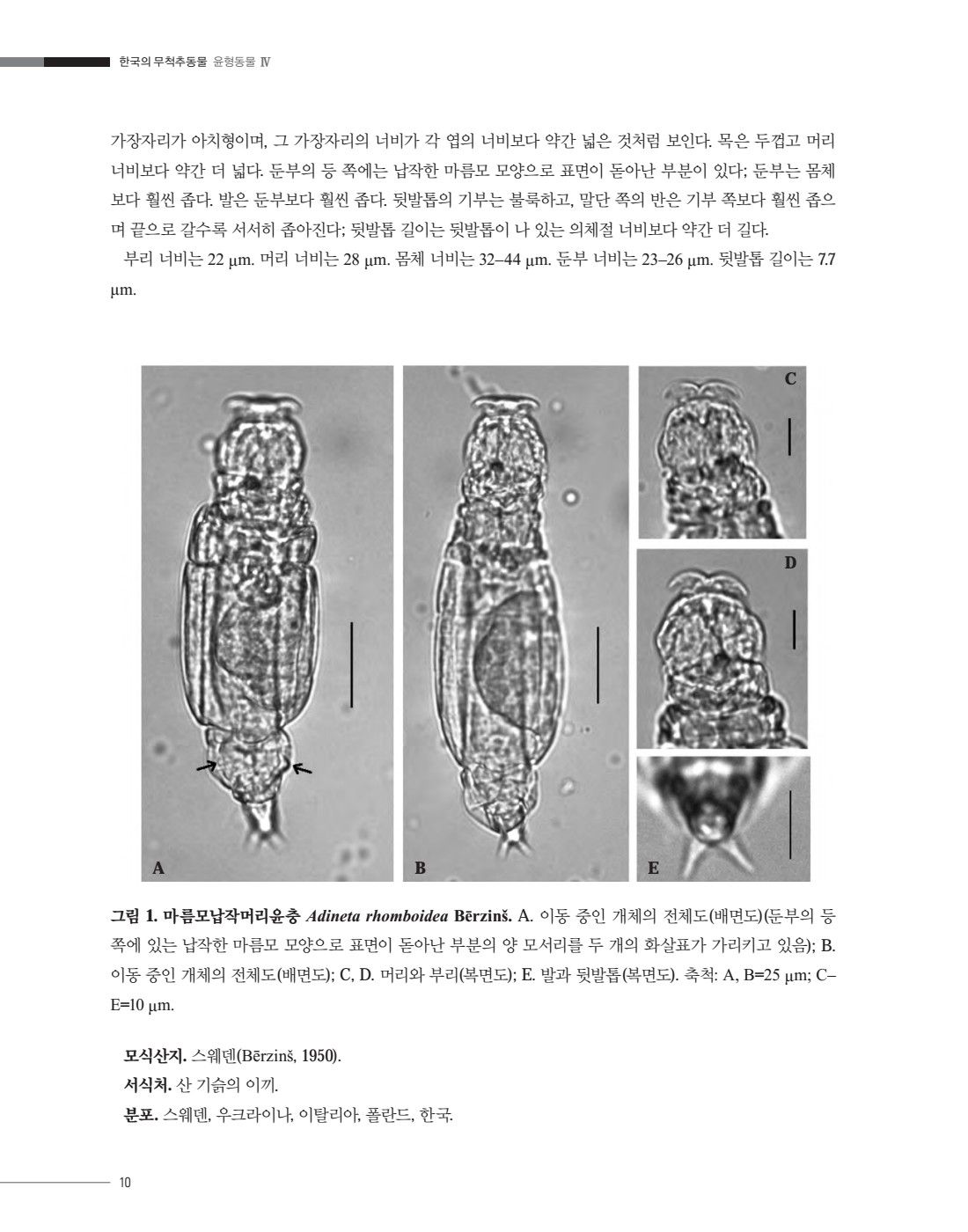 페이지