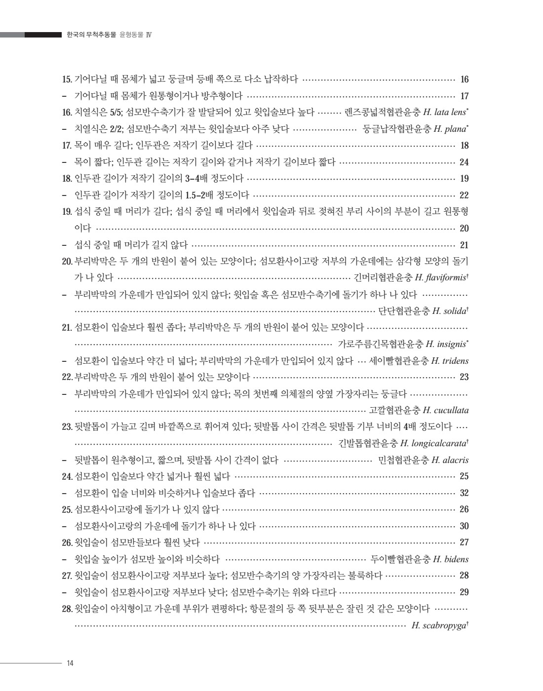 페이지