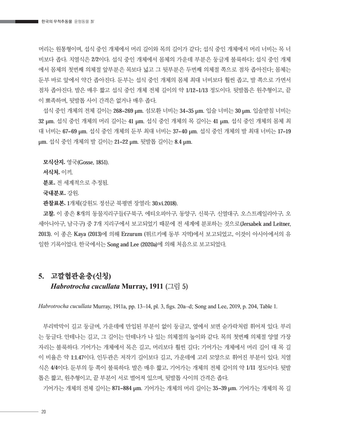 페이지