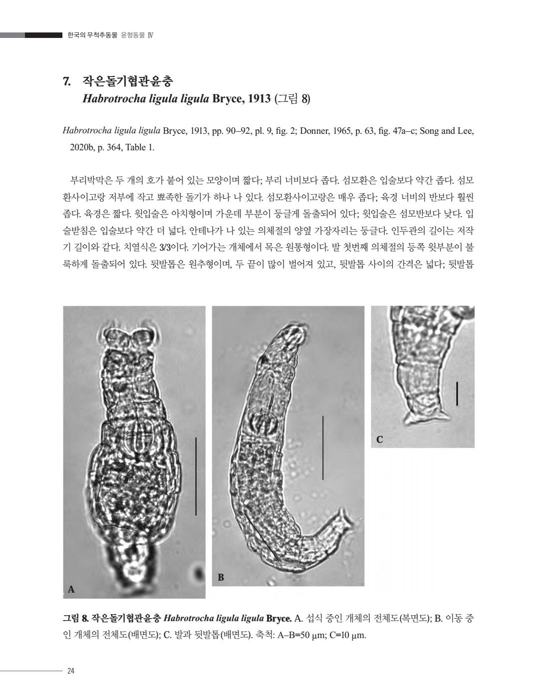 페이지