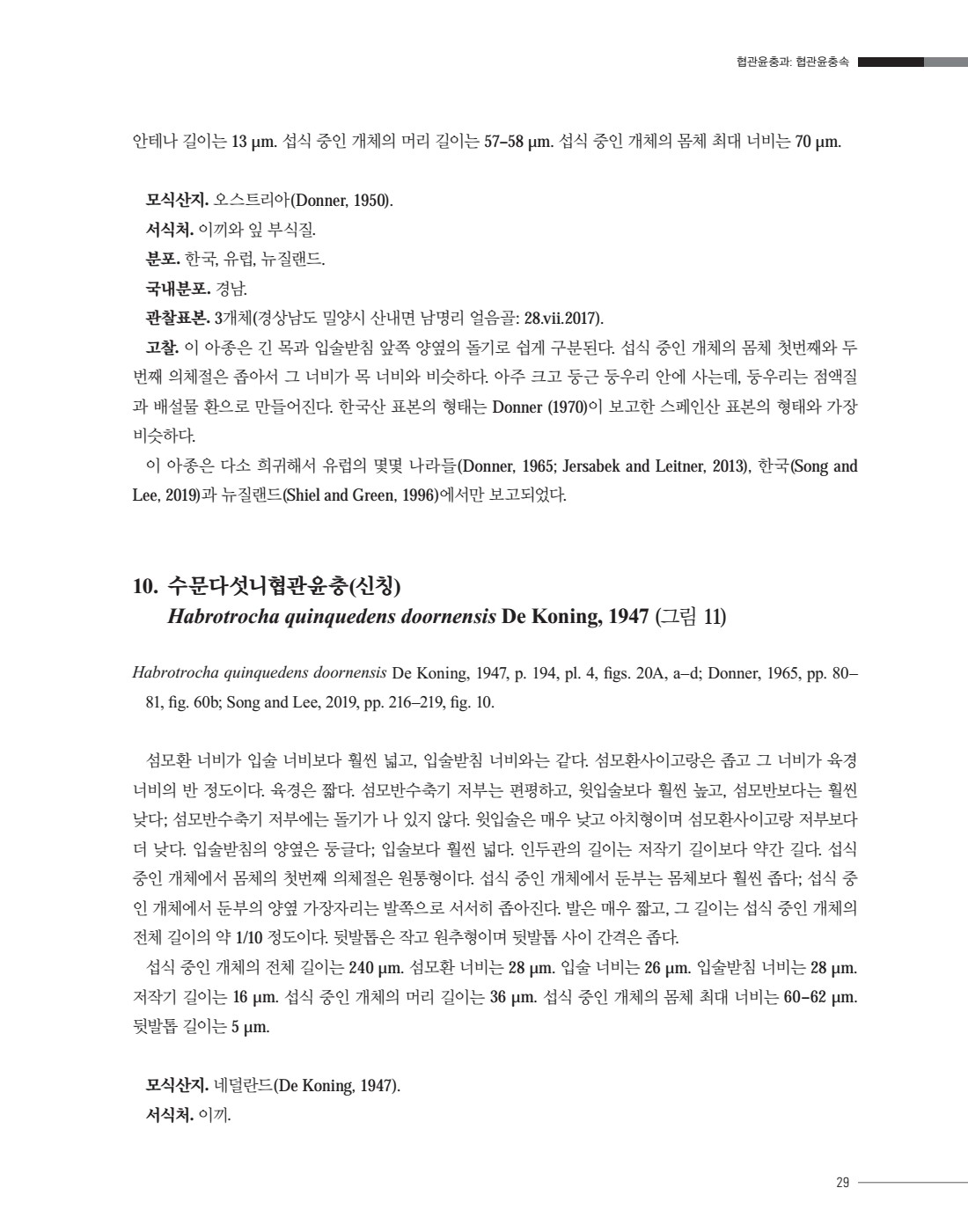 페이지