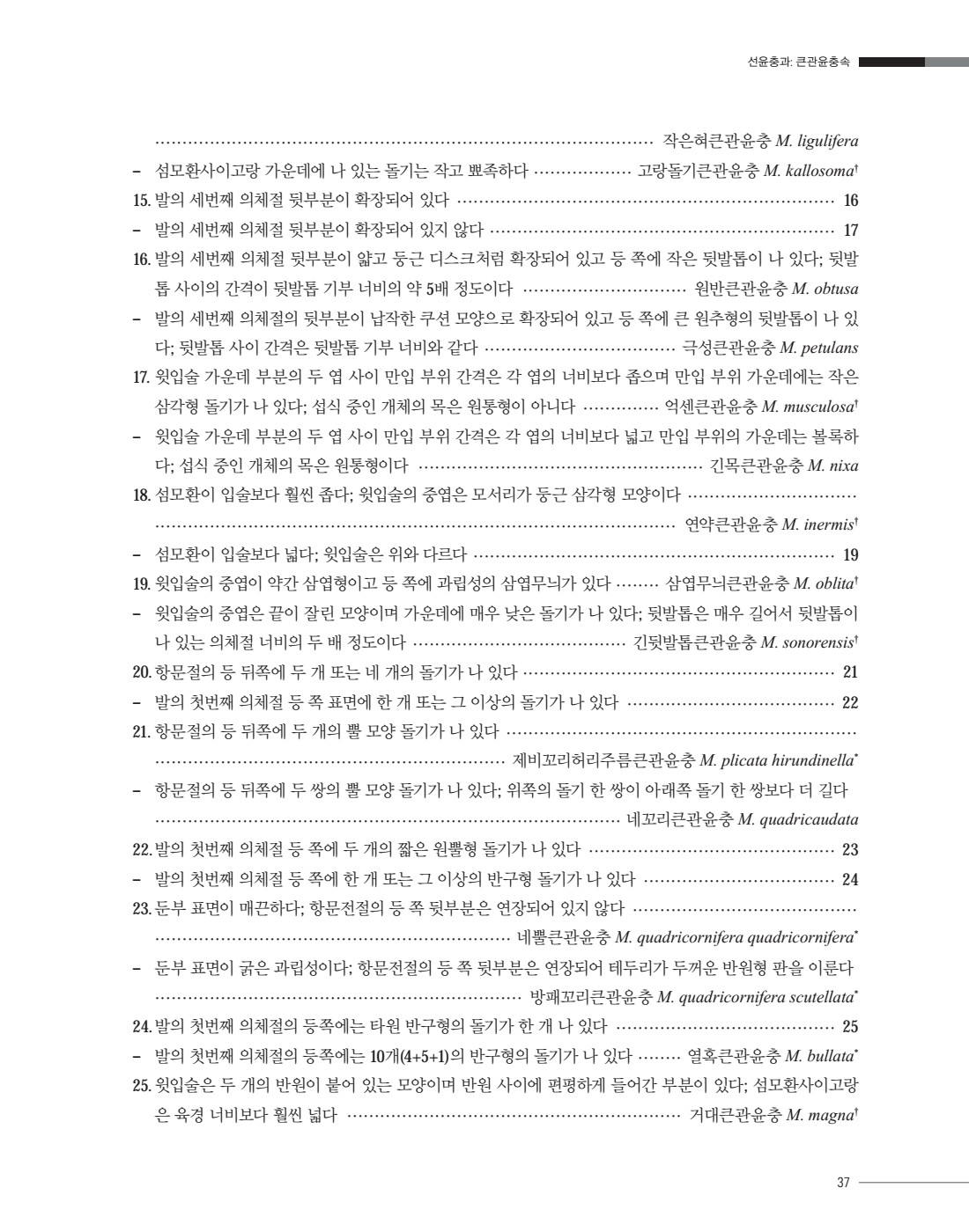 페이지