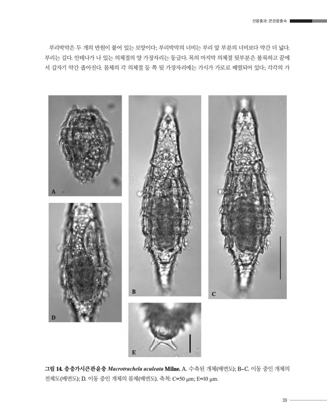페이지