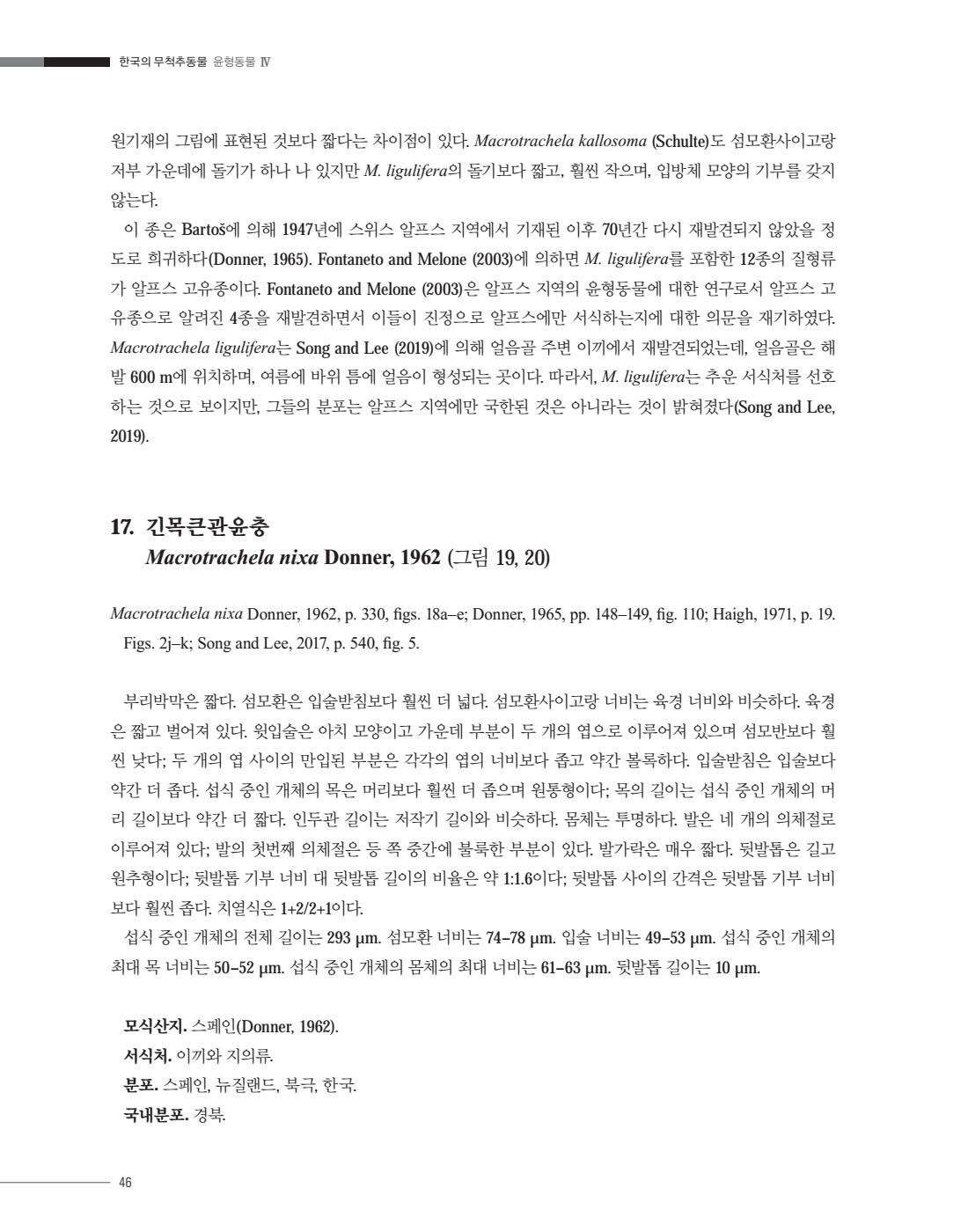 페이지