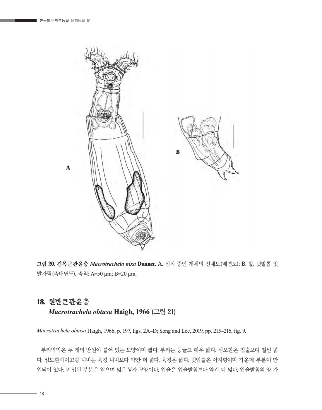 페이지