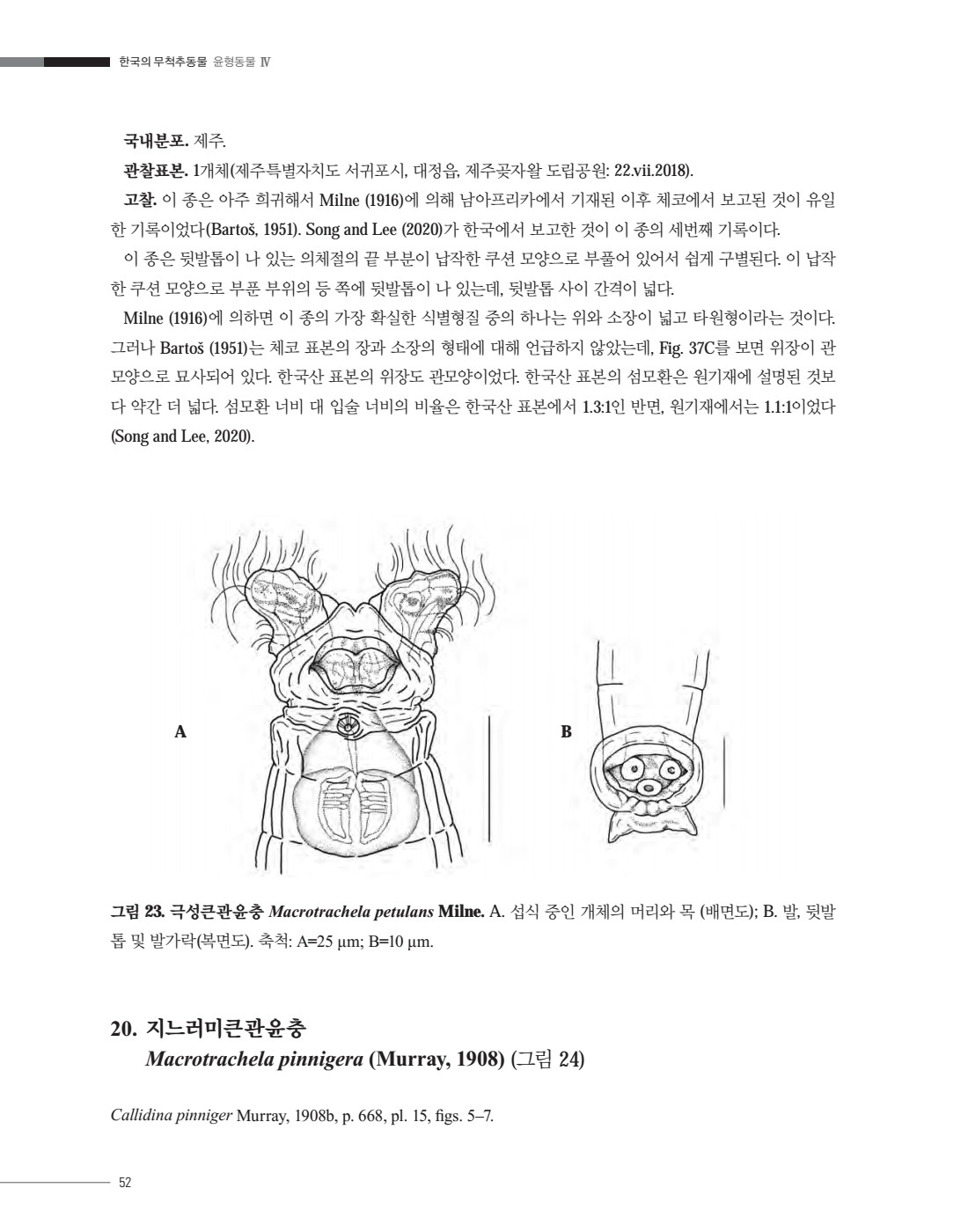 페이지