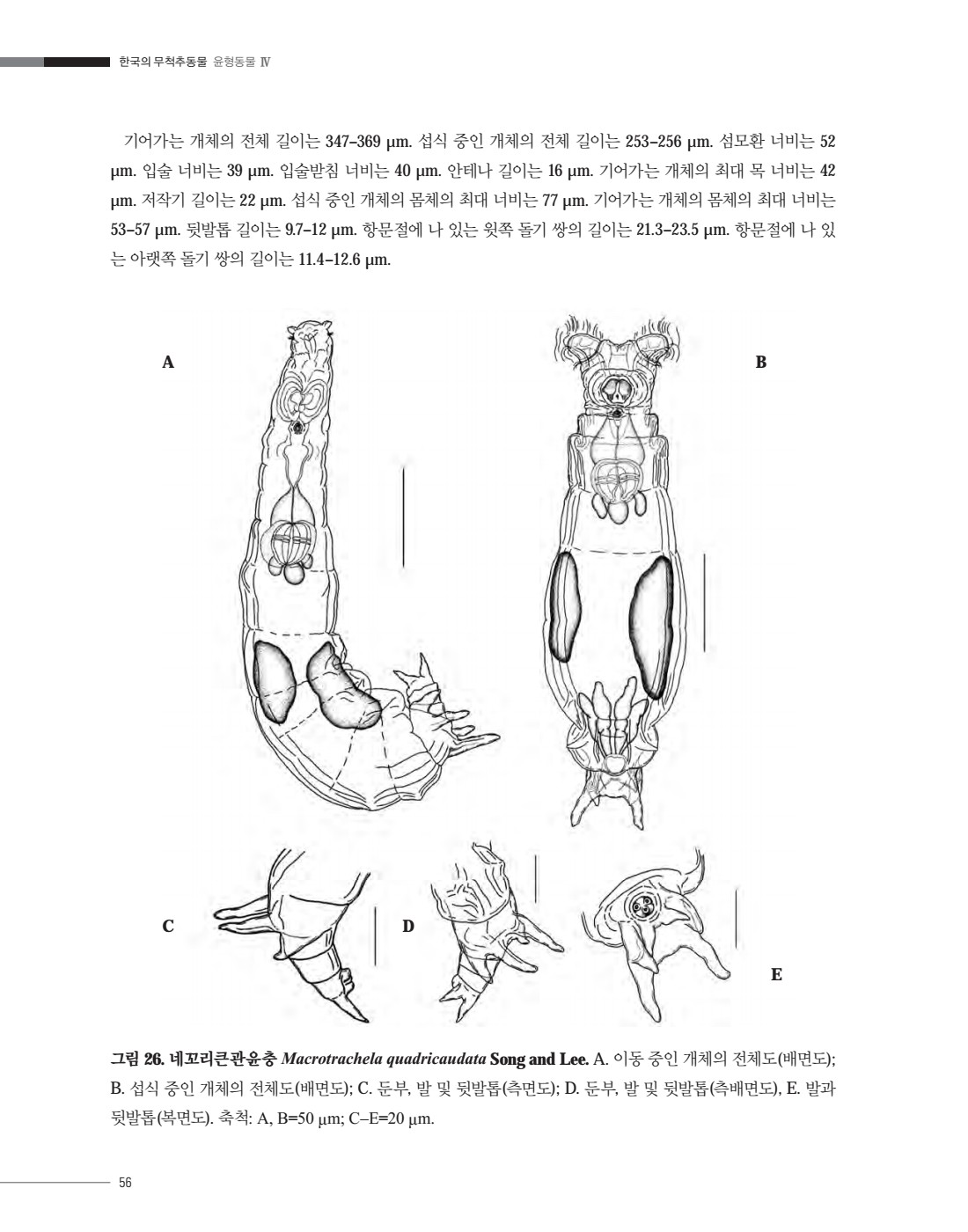 페이지