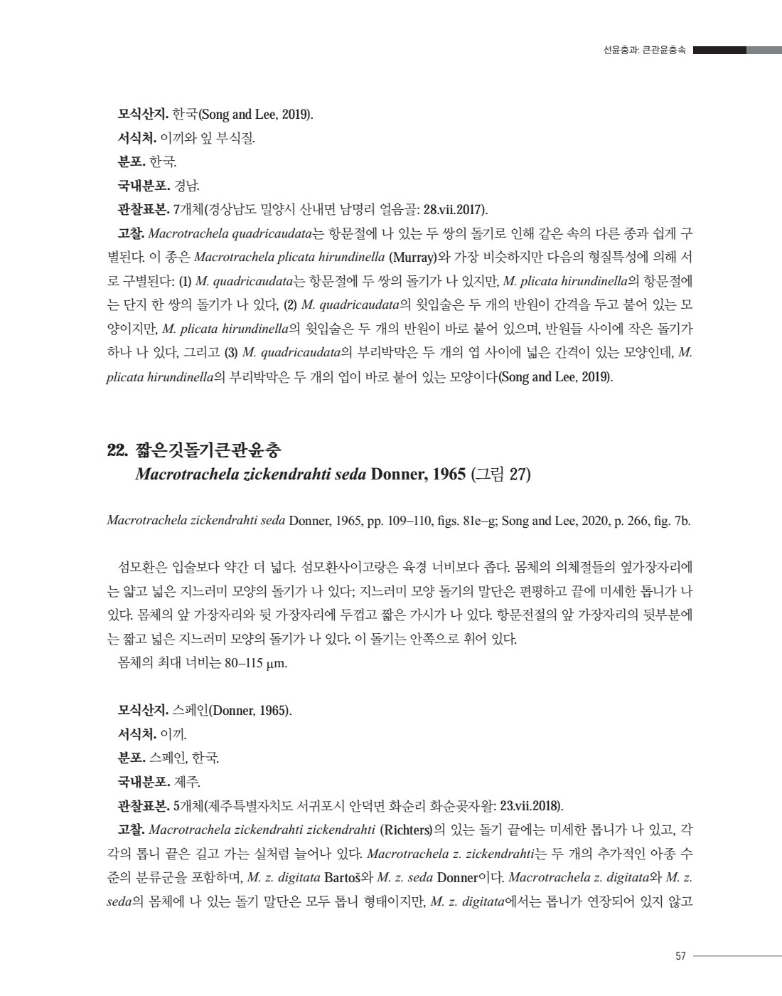 페이지