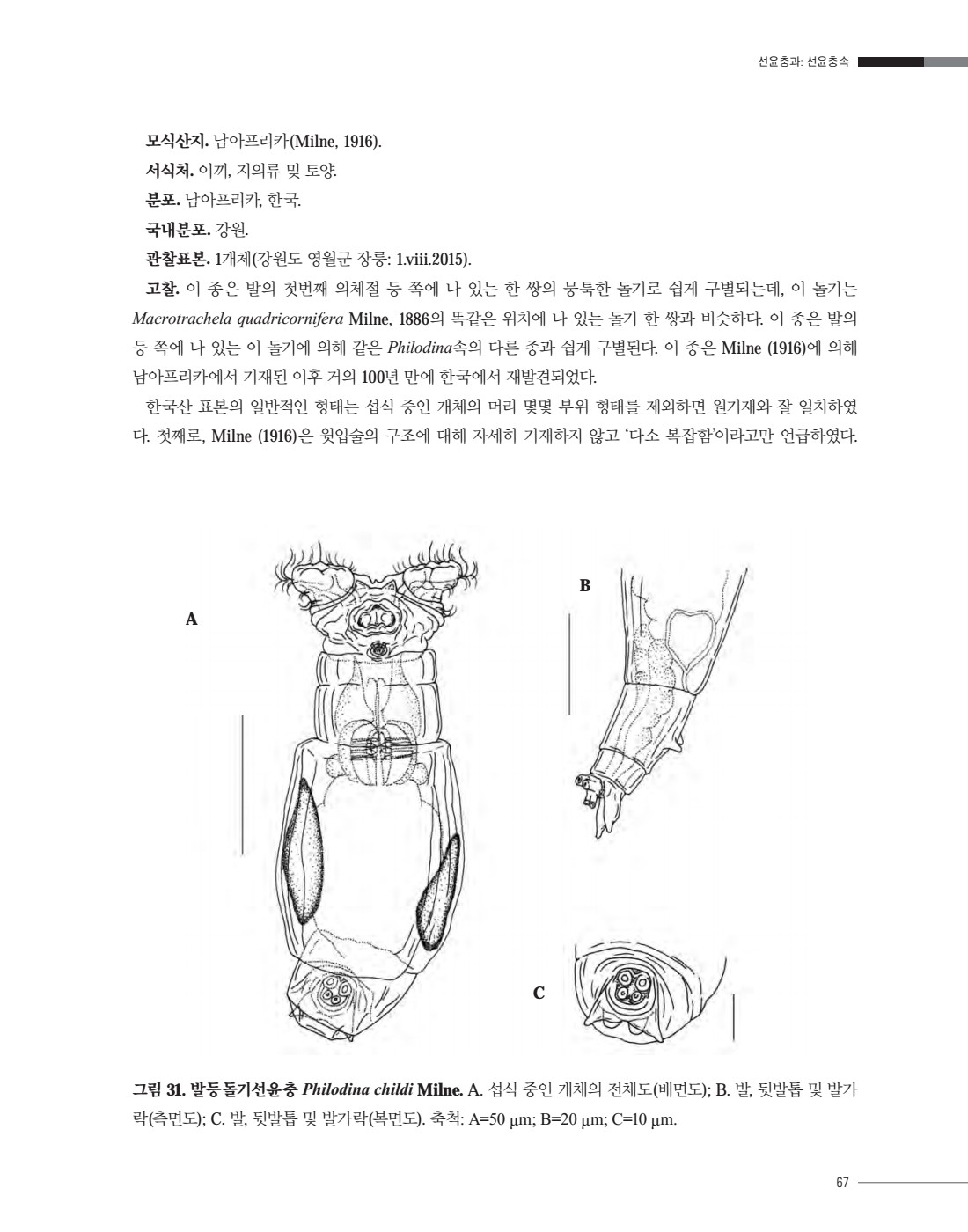 페이지