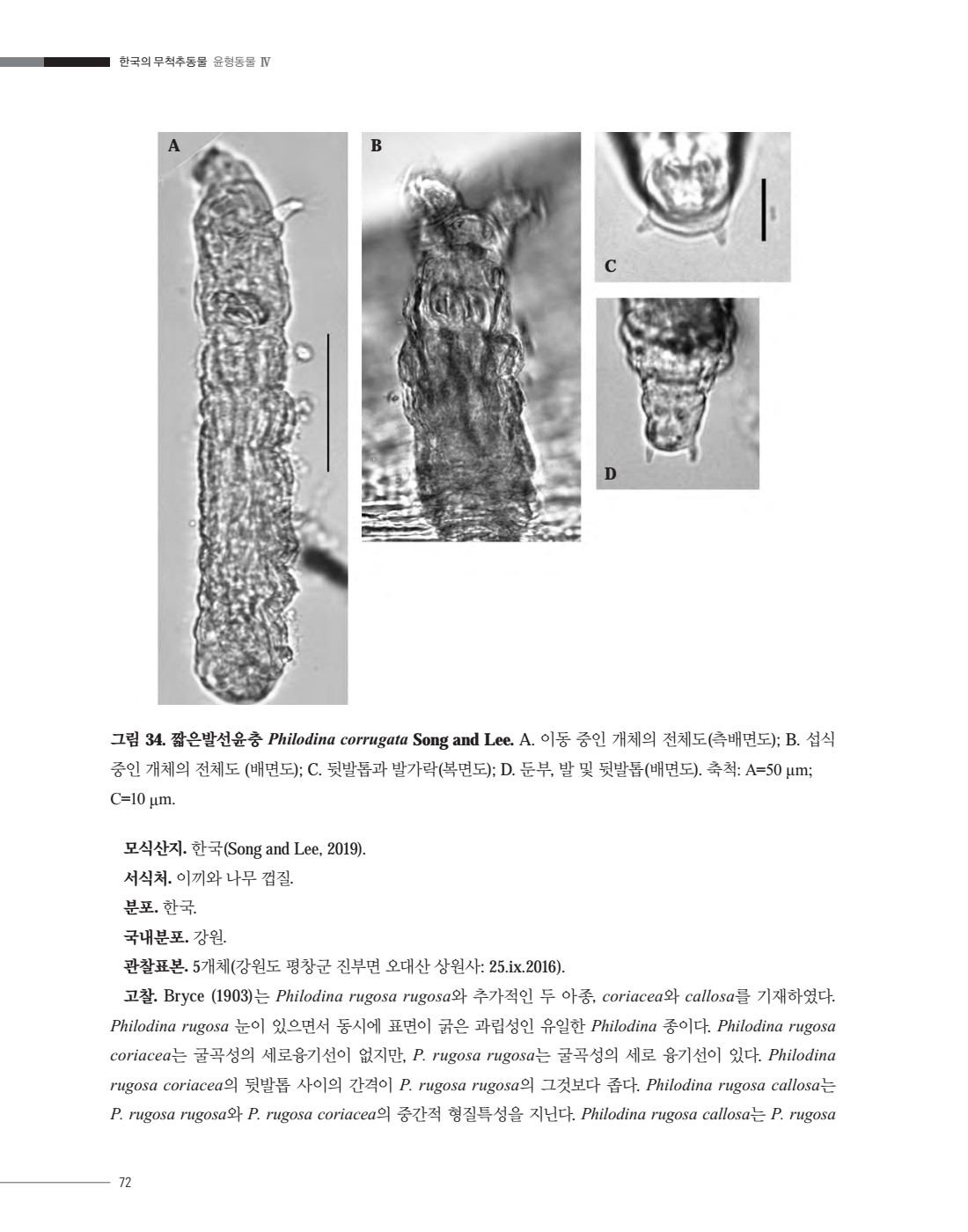 페이지