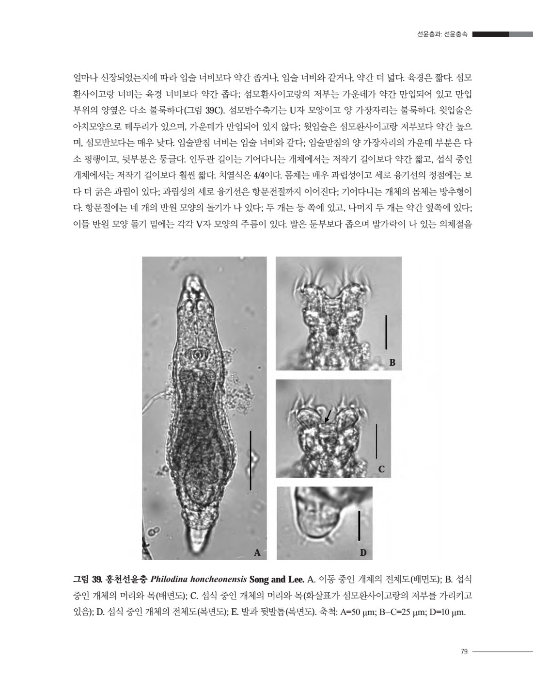 페이지