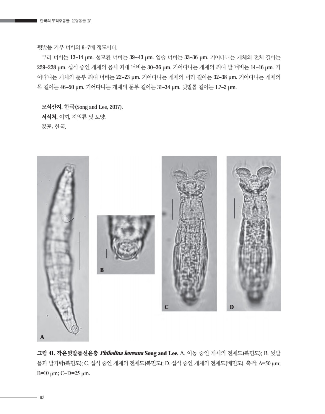 페이지