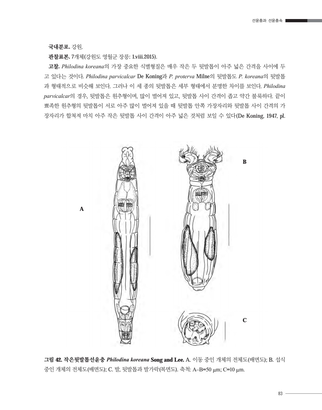 페이지