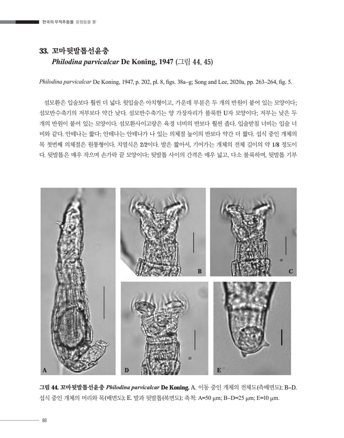 페이지