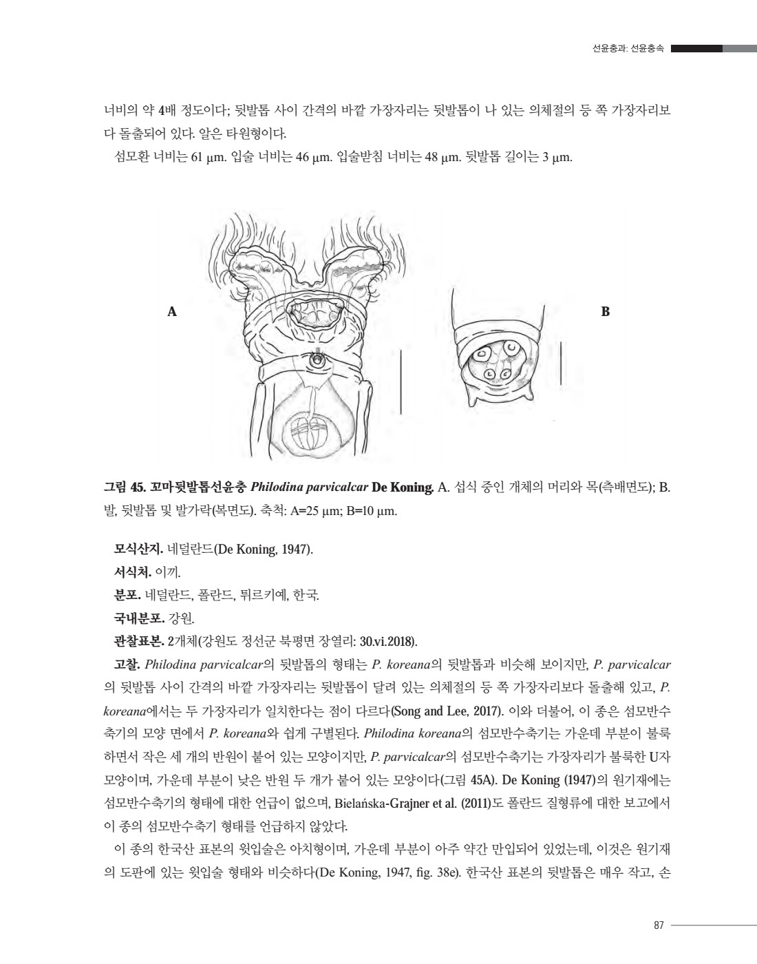 페이지