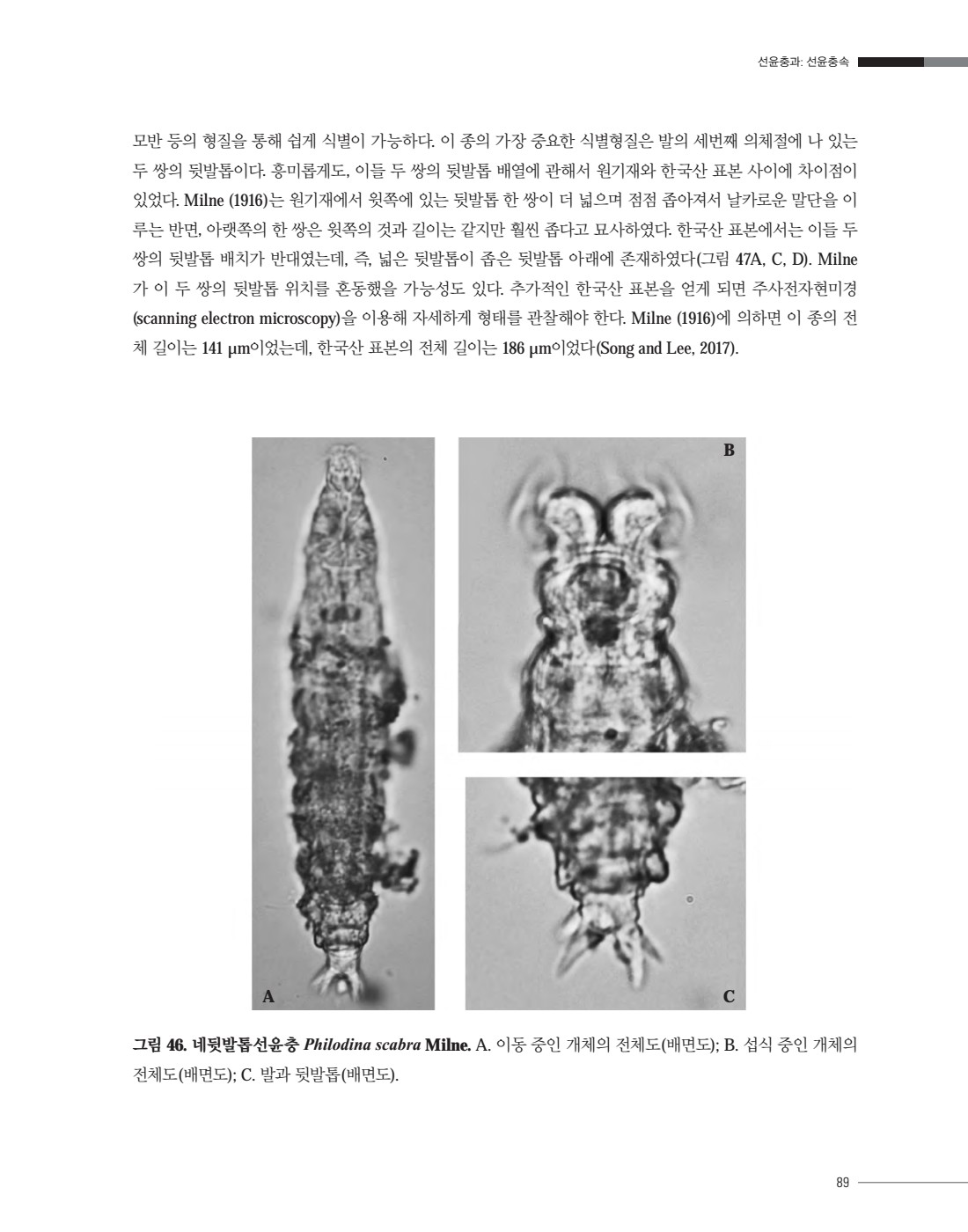 페이지