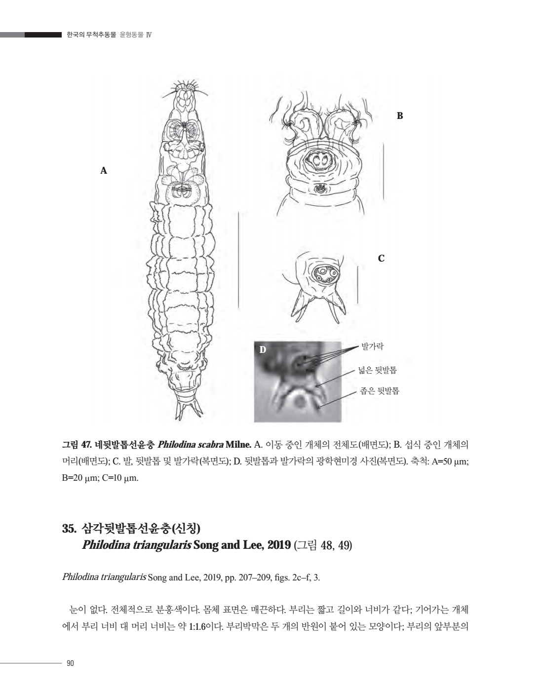 페이지