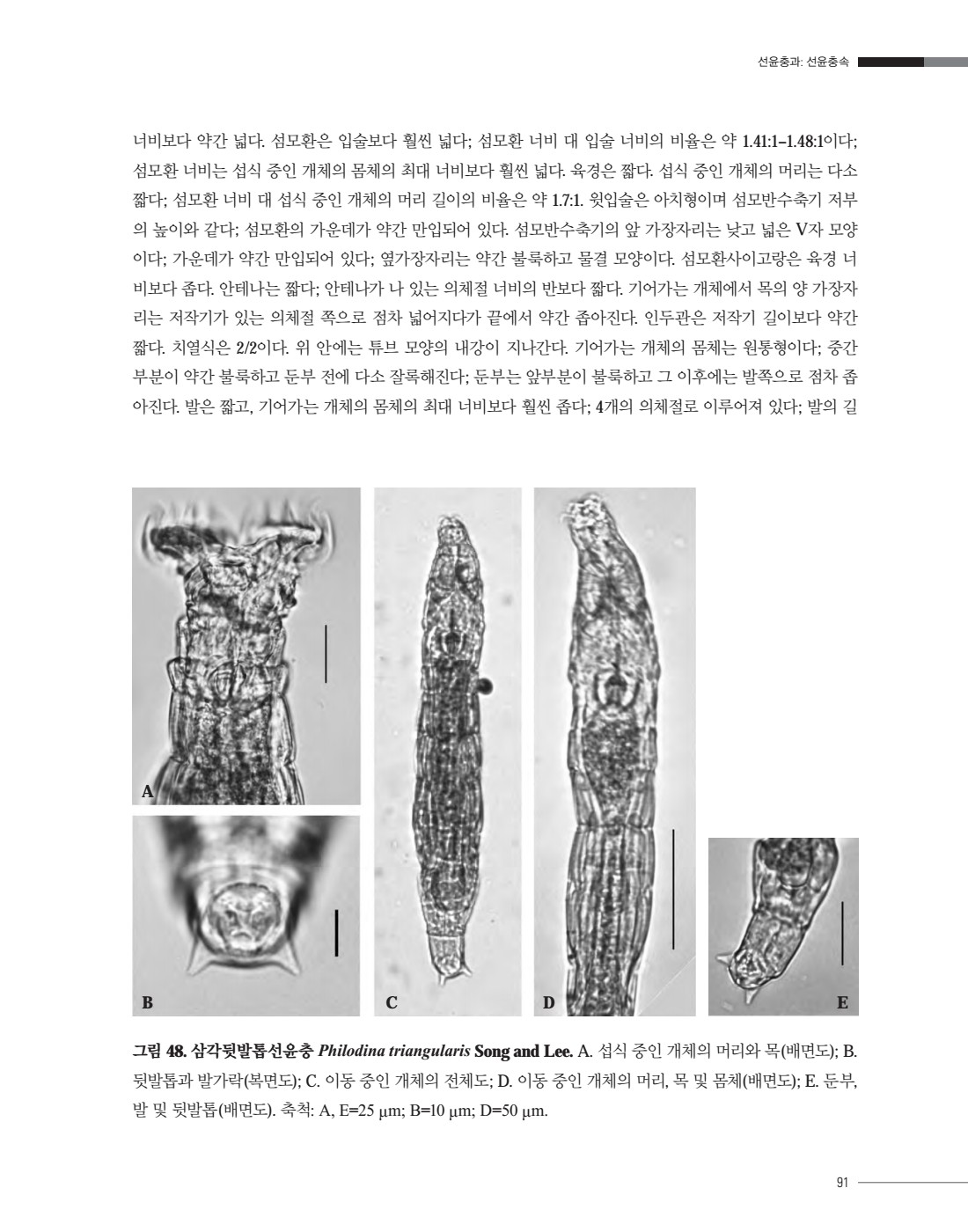 페이지