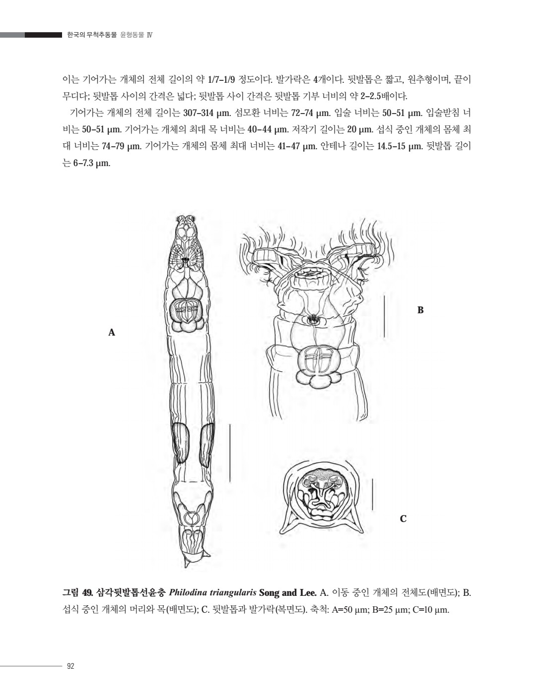 페이지