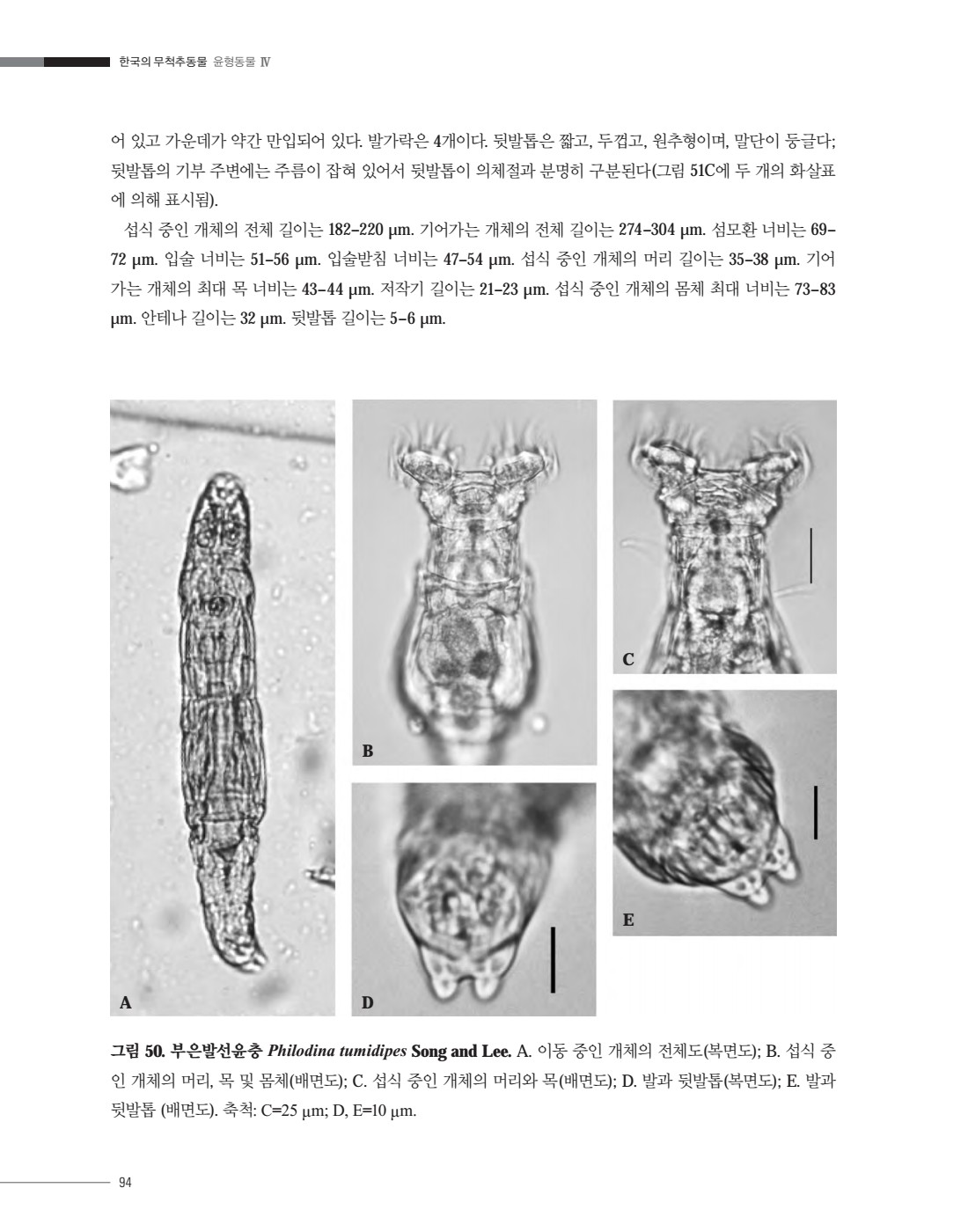 페이지