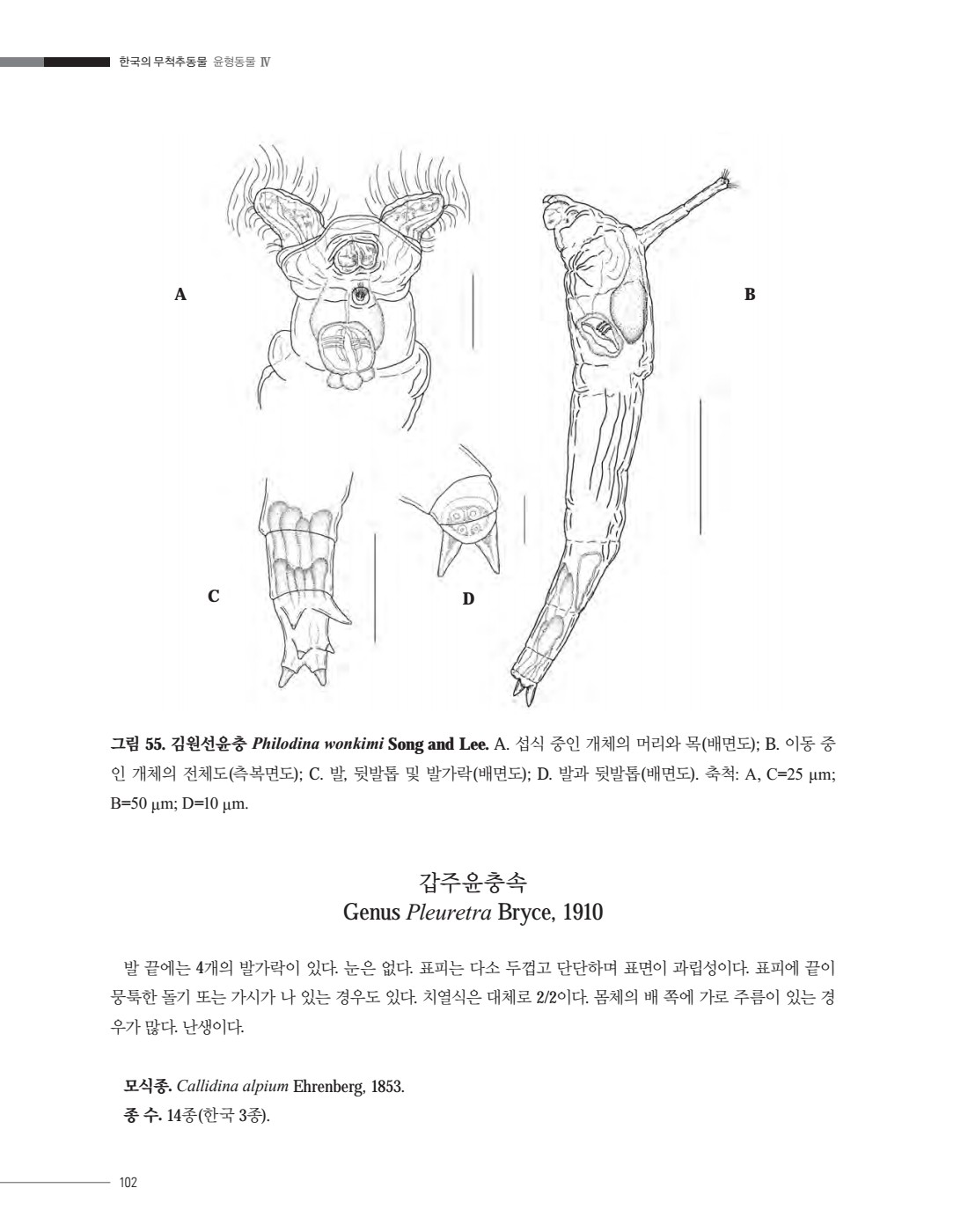 페이지