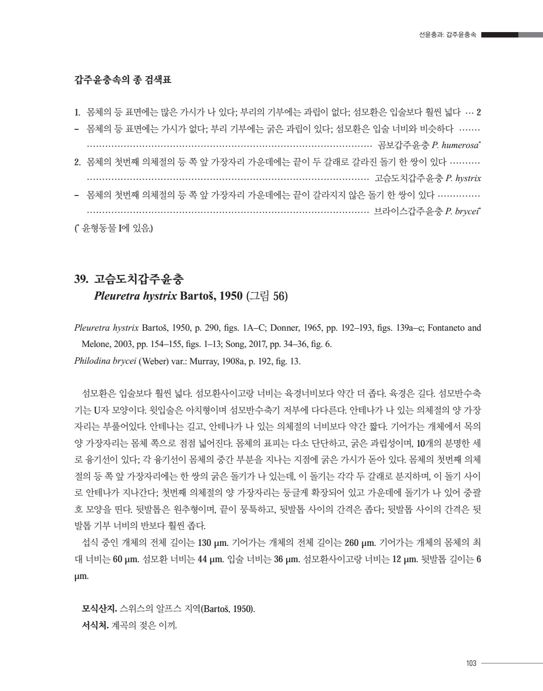 페이지