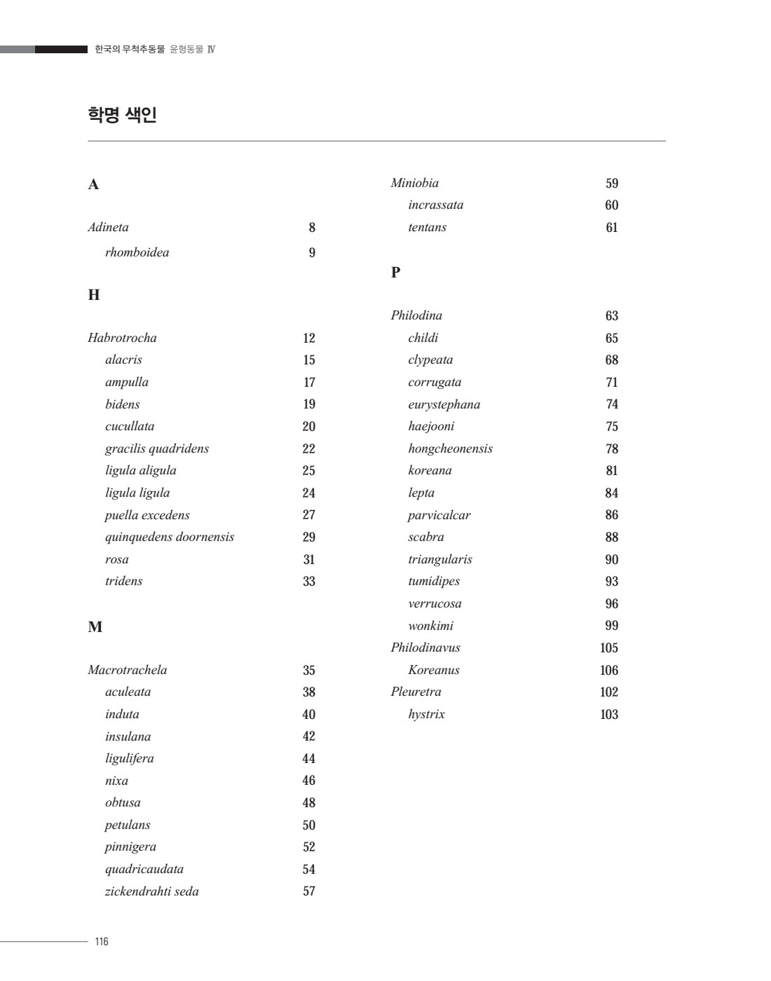 페이지