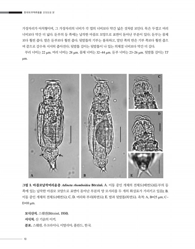 10페이지