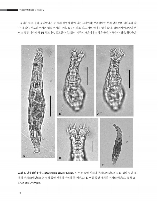 16페이지