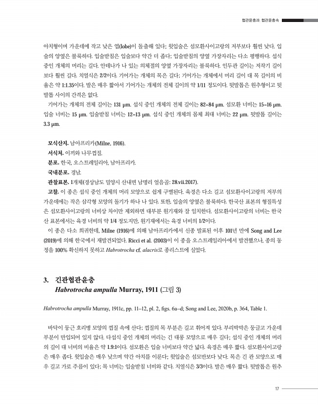 17페이지