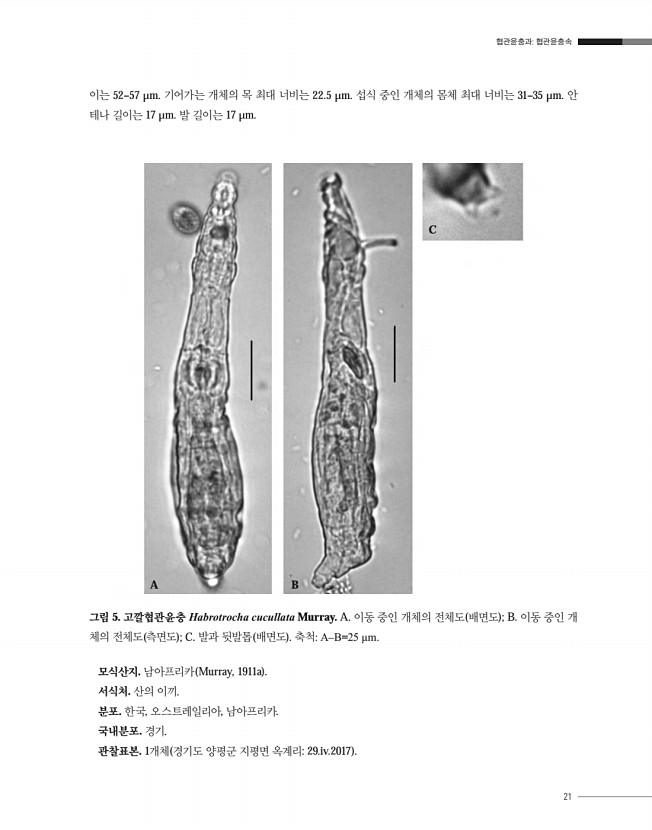 21페이지