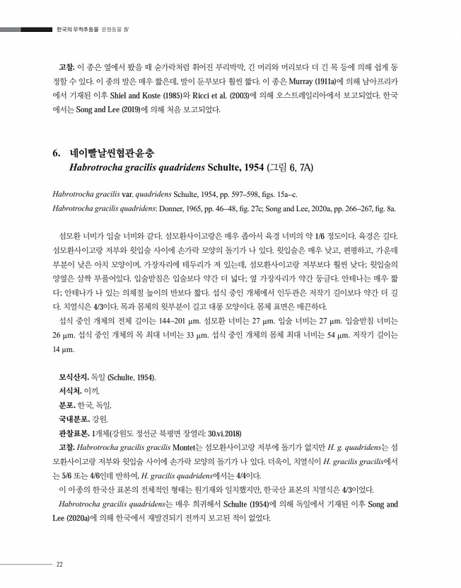 22페이지