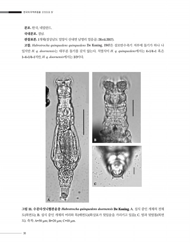 30페이지