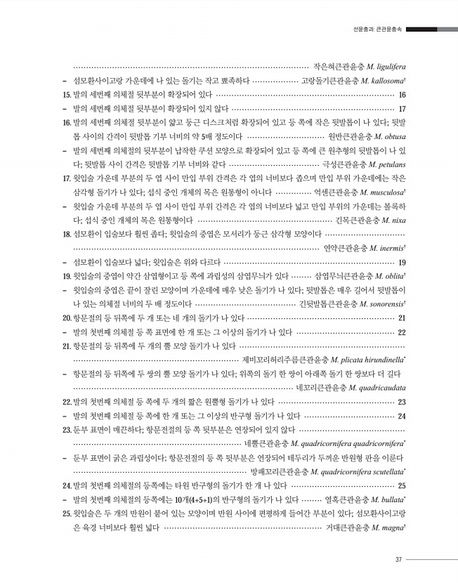 37페이지