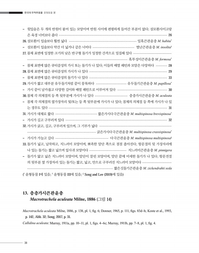 38페이지