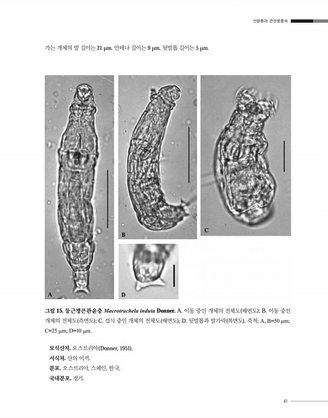 41페이지