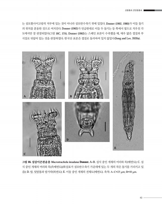 43페이지
