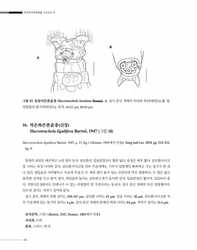 44페이지