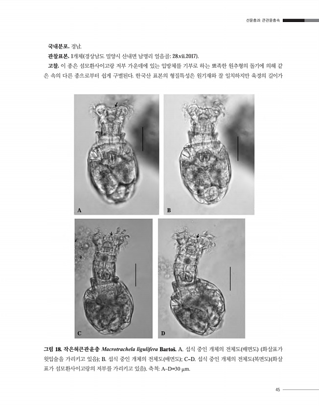 45페이지
