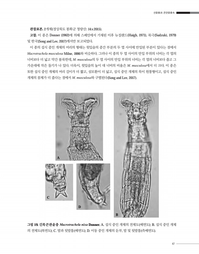 47페이지