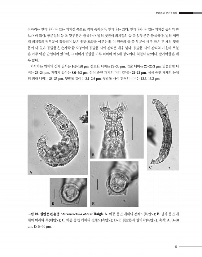 49페이지
