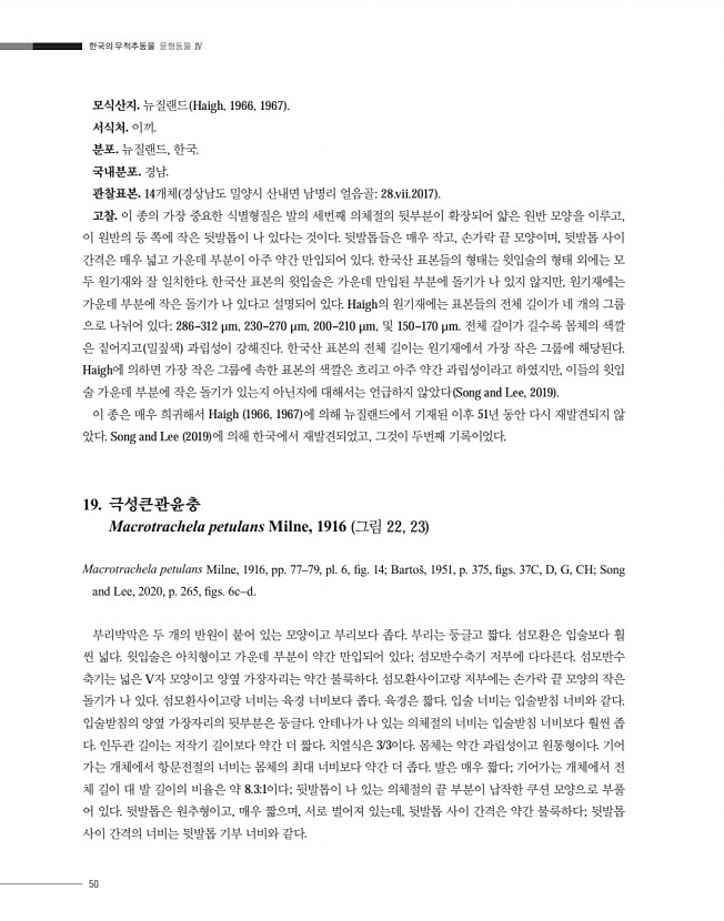 50페이지